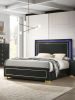 Black Color 1pc Queen Size Bed W LED Bedroom Furniture Gold Trim And Metal Bracket Legs Wooden
