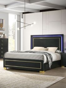 Black Color 1pc Queen Size Bed W LED Bedroom Furniture Gold Trim And Metal Bracket Legs Wooden
