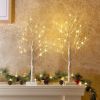 Christmas Decorations Indoor, 2 FT Birch Tree with LED Lights, Fairy Light Spirit Tree for Christmas Decor