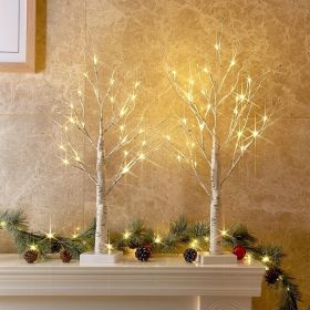 Christmas Decorations Indoor, 2 FT Birch Tree with LED Lights, Fairy Light Spirit Tree for Christmas Decor