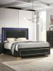 Black Color 1pc Queen Size Bed W LED Bedroom Furniture Gold Trim And Metal Bracket Legs Wooden
