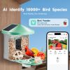 Smart Bird Feeder with Camera, 2K HD AI Identify 10000+ Bird Species, Solar-Powered Bird Watching Camera with Auto Capture & Instant Notify