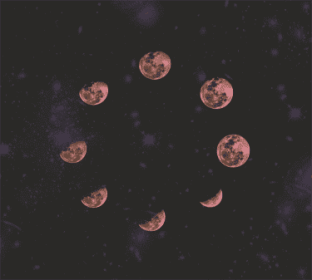 TAP -- Wall Covering Fabric (Option: TAP098-150x170cm)